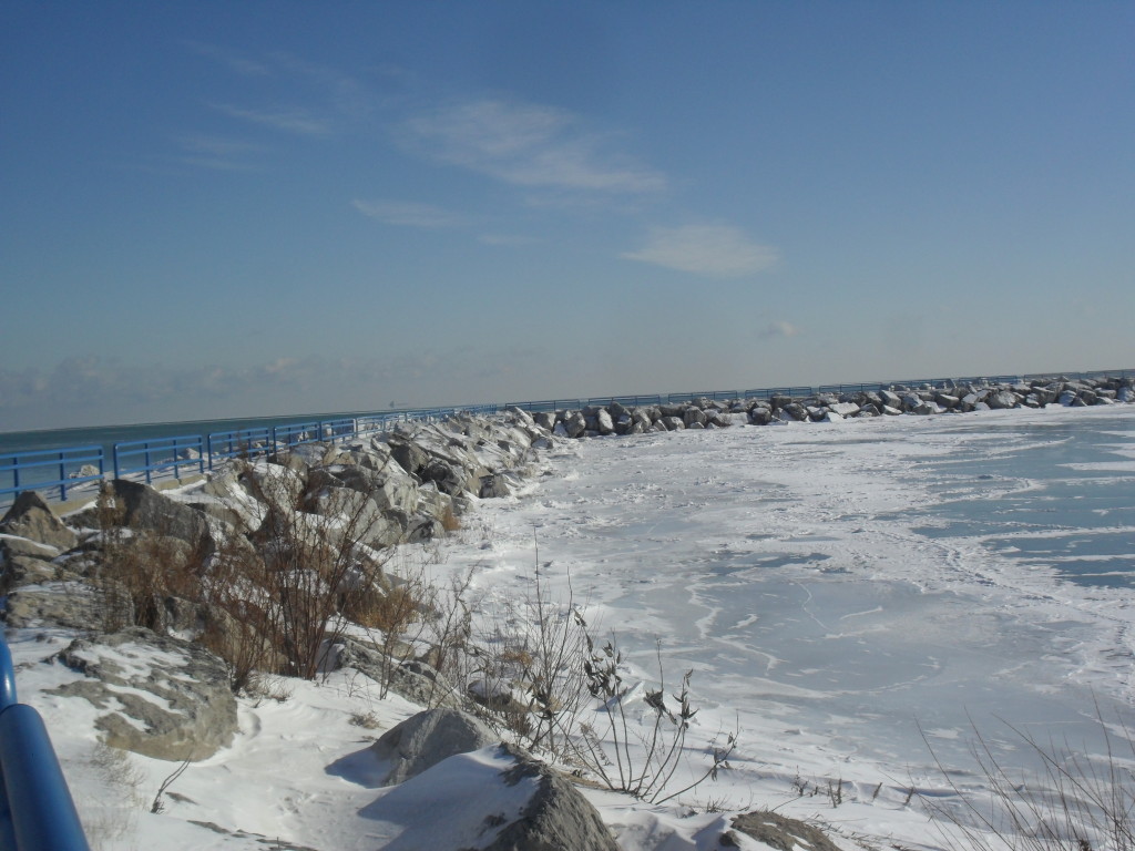 Michigan ICE FISHING WITH BEAR ON LAKE HURON Great Lakes Review