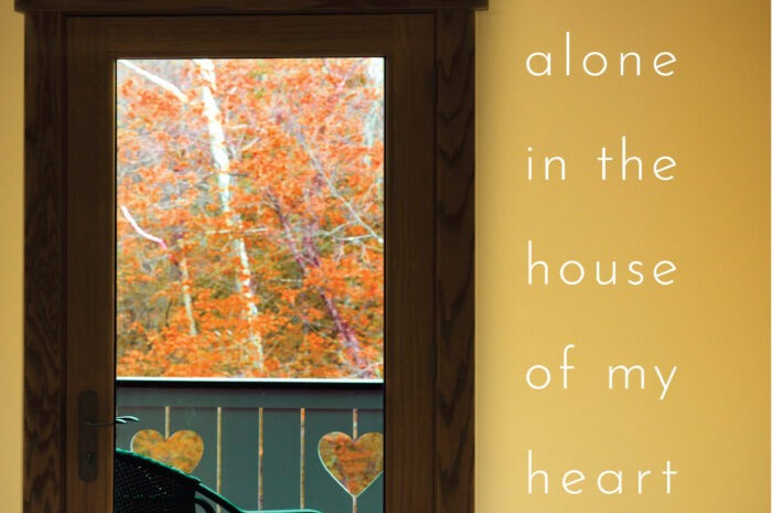 Book Review: Alone in the House of My Heart by Kari Gunter-Seymour