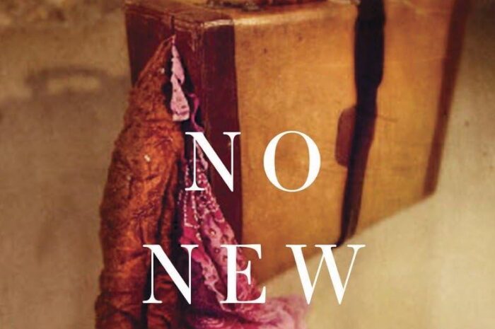 Book Review: No New Land