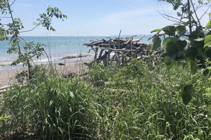 Lake Erie