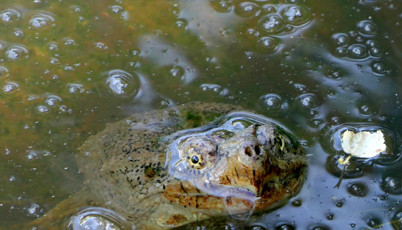 Photo by Patti Black on Unsplash