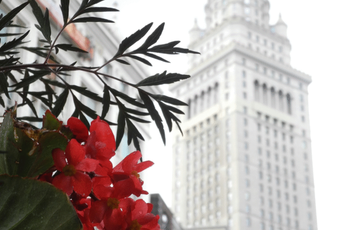 And Then Cleveland Architecture