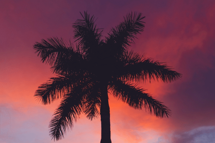 Down in Florida